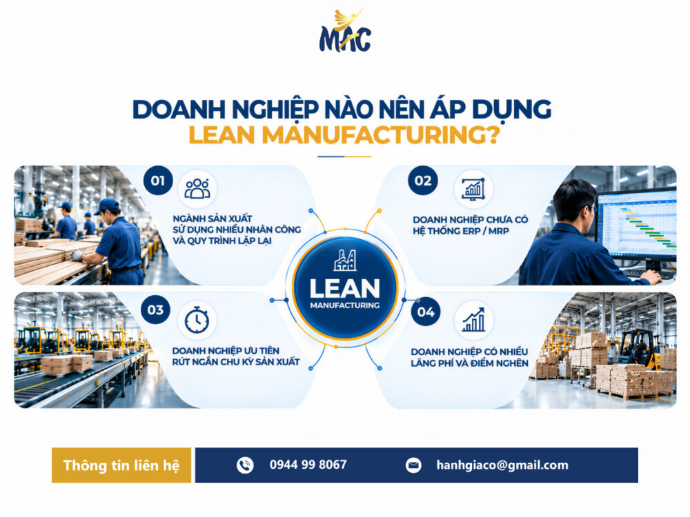 Các nhóm doanh nghiệp phù hợp với Lean Manufacturing như sản xuất gỗ, may mặc, điện tử, lắp ráp và doanh nghiệp cần rút ngắn chu kỳ sản xuất.